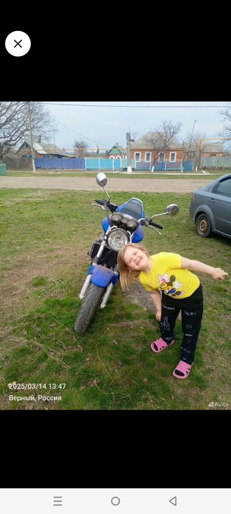 Honda CB 900F (Hornet), 2002 год, 400 000 рублей, 1 фотография