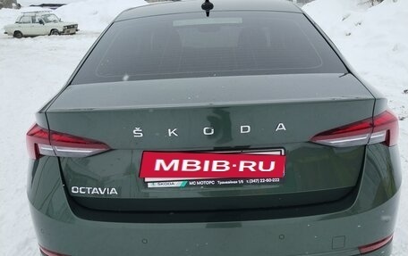 Skoda Octavia IV, 2021 год, 2 650 000 рублей, 21 фотография