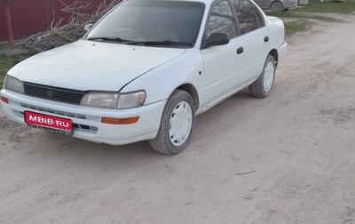 Toyota Corolla, 1992 год, 235 000 рублей, 1 фотография