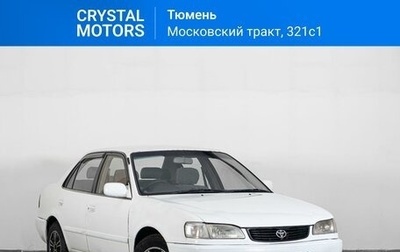 Toyota Corolla, 1998 год, 259 000 рублей, 1 фотография
