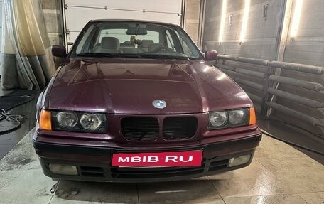 BMW 3 серия, 1997 год, 360 000 рублей, 2 фотография