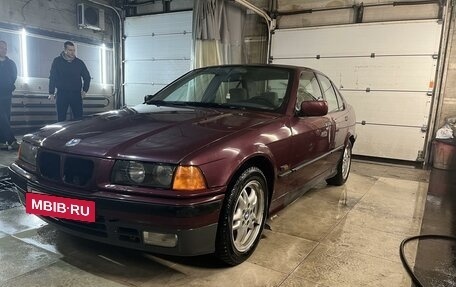 BMW 3 серия, 1997 год, 360 000 рублей, 4 фотография