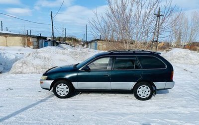 Toyota Corolla, 1996 год, 399 000 рублей, 1 фотография