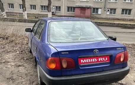 Toyota Corolla, 1997 год, 215 000 рублей, 2 фотография