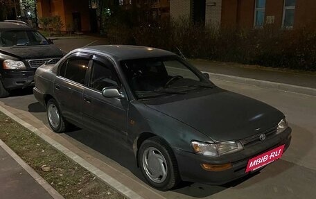 Toyota Corolla, 1995 год, 265 000 рублей, 3 фотография