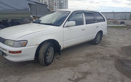 Toyota Corolla, 2000 год, 260 000 рублей, 2 фотография