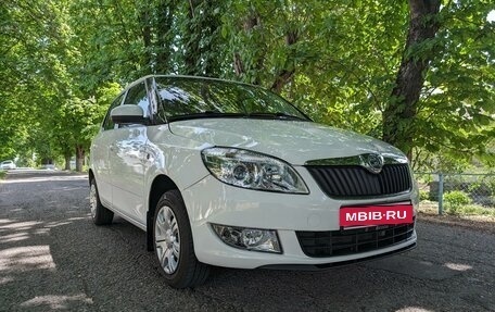 Skoda Fabia II, 2013 год, 845 000 рублей, 1 фотография