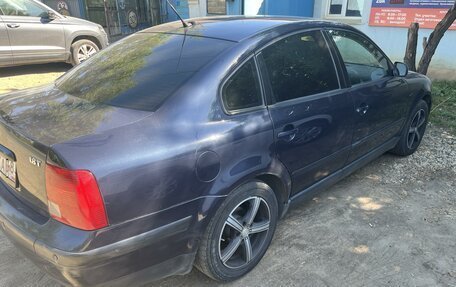 Volkswagen Passat B5+ рестайлинг, 1999 год, 450 000 рублей, 4 фотография