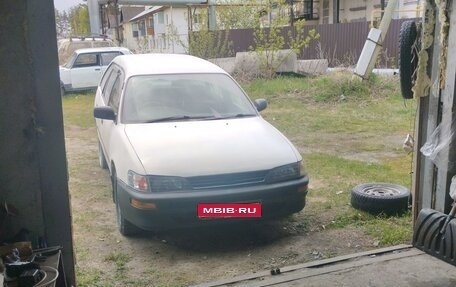 Toyota Corolla, 1999 год, 340 000 рублей, 1 фотография