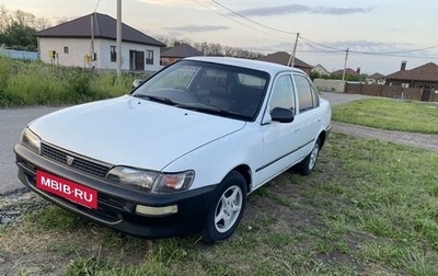 Toyota Corolla, 1994 год, 295 000 рублей, 1 фотография