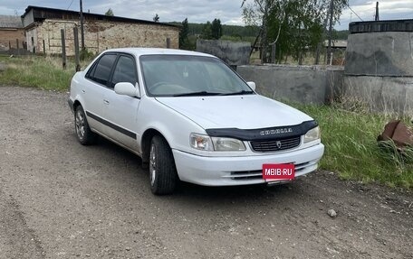 Toyota Corolla, 1996 год, 310 000 рублей, 6 фотография