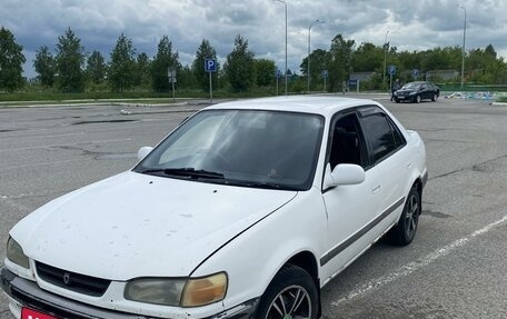 Toyota Corolla, 1996 год, 310 000 рублей, 1 фотография