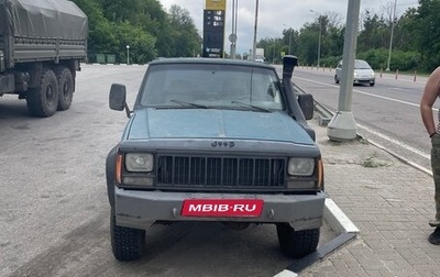 Jeep Cherokee, 1994 год, 200 000 рублей, 1 фотография