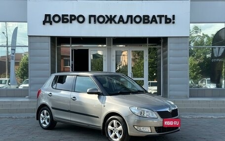 Skoda Fabia II, 2011 год, 689 000 рублей, 1 фотография