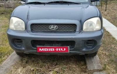 Hyundai Santa Fe III рестайлинг, 2004 год, 379 500 рублей, 1 фотография