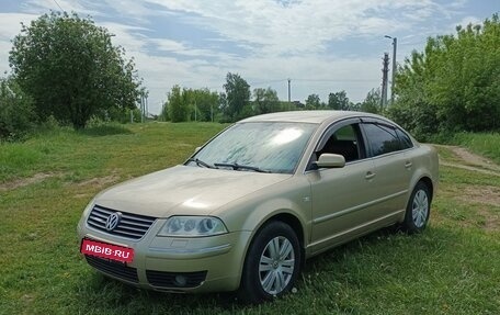 Volkswagen Passat B5+ рестайлинг, 2002 год, 600 000 рублей, 1 фотография