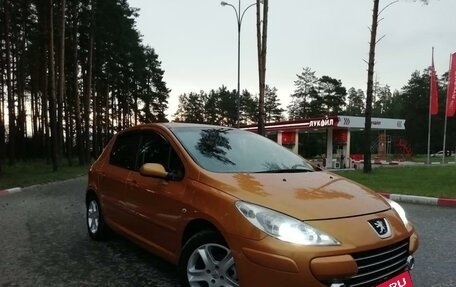 Peugeot 307 I, 2006 год, 427 000 рублей, 3 фотография