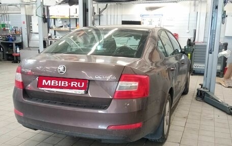 Skoda Octavia, 2013 год, 963 000 рублей, 3 фотография