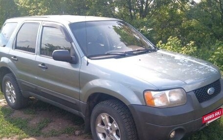 Ford Escape II, 2004 год, 520 000 рублей, 3 фотография