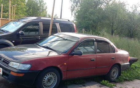 Toyota Corolla, 1997 год, 195 000 рублей, 1 фотография