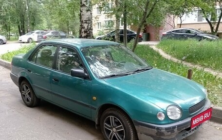 Toyota Corolla, 1998 год, 420 000 рублей, 1 фотография