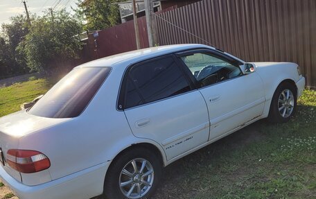 Toyota Corolla, 1998 год, 320 000 рублей, 2 фотография