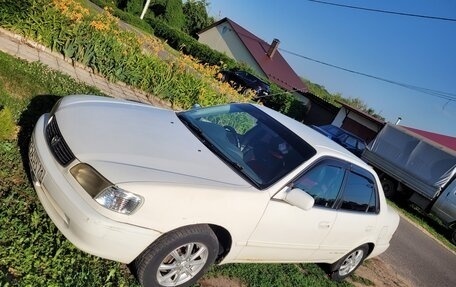 Toyota Corolla, 1998 год, 320 000 рублей, 9 фотография