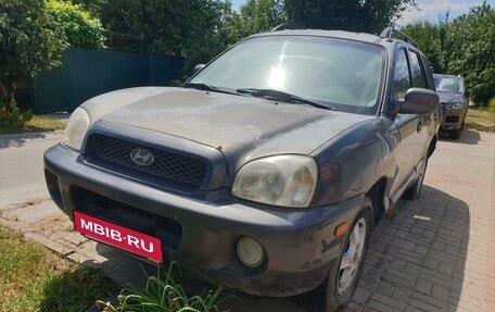 Hyundai Santa Fe III рестайлинг, 2003 год, 245 000 рублей, 1 фотография