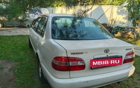 Toyota Corolla, 1998 год, 550 000 рублей, 14 фотография