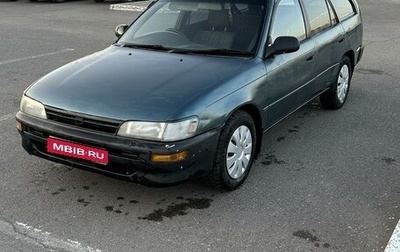 Toyota Corolla, 1995 год, 290 000 рублей, 1 фотография