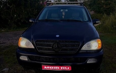 Mercedes-Benz M-Класс, 2002 год, 675 000 рублей, 1 фотография