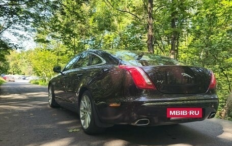 Jaguar XJ IV (X351), 2012 год, 2 349 рублей, 26 фотография