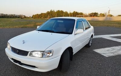 Toyota Corolla, 1997 год, 600 000 рублей, 1 фотография