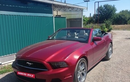 Ford Mustang VI рестайлинг, 2013 год, 2 200 000 рублей, 1 фотография