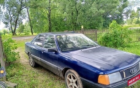 Audi 100, 1989 год, 125 000 рублей, 1 фотография