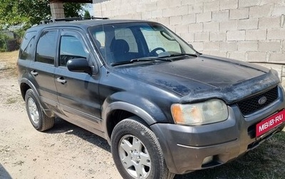 Ford Escape II, 2003 год, 390 000 рублей, 1 фотография