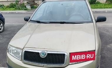 Skoda Fabia I, 2006 год, 315 000 рублей, 1 фотография