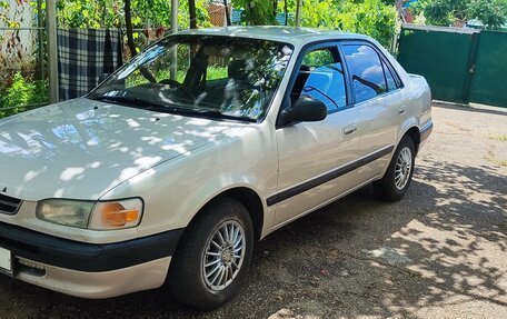 Toyota Corolla, 1995 год, 310 000 рублей, 2 фотография