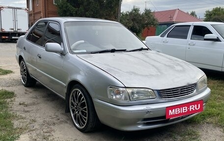 Toyota Corolla, 1999 год, 320 000 рублей, 5 фотография