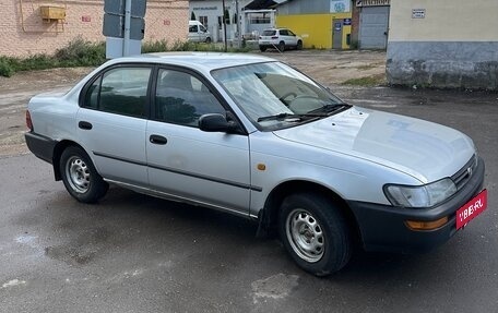 Toyota Corolla, 1997 год, 260 000 рублей, 1 фотография