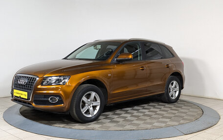 Audi Q5, 2010 год, 1 579 500 рублей, 3 фотография