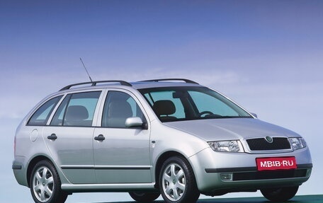 Skoda Fabia I, 2003 год, 330 000 рублей, 1 фотография