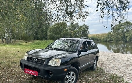 Hyundai Santa Fe III рестайлинг, 2003 год, 490 000 рублей, 1 фотография