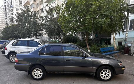 Toyota Corolla, 1994 год, 210 000 рублей, 2 фотография