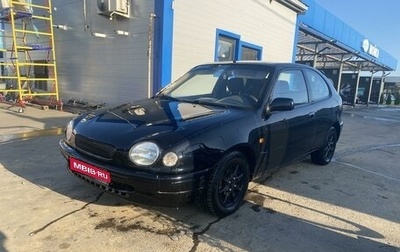 Toyota Corolla, 1998 год, 305 000 рублей, 1 фотография