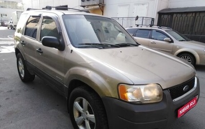 Ford Escape II, 2001 год, 349 000 рублей, 1 фотография