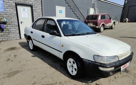 Toyota Corolla, 1993 год, 235 000 рублей, 2 фотография