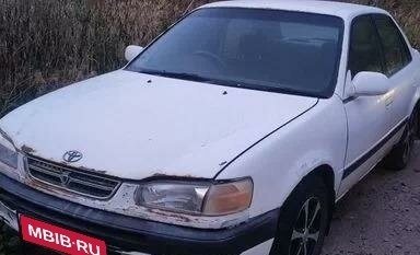 Toyota Corolla, 1996 год, 250 000 рублей, 1 фотография