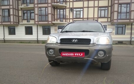 Hyundai Santa Fe III рестайлинг, 2001 год, 489 000 рублей, 1 фотография