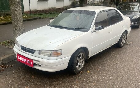 Toyota Corolla, 1996 год, 245 000 рублей, 1 фотография